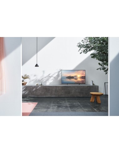 Sony KD49XE7005 124,5 cm (49") 4K Ultra HD Smart TV Wi-Fi Nero, Argento