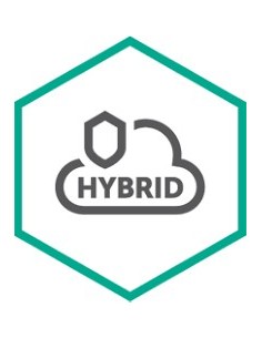 Kaspersky Lab Hybrid Cloud Security Istruzione (EDU) Licenza