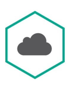 Kaspersky Lab KES Cloud EU 20-24 Node 2Y Bs Lic 2 anno i