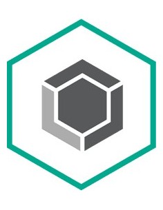 Kaspersky Lab KL4883XASDH licenza per software aggiornamento Aggiuntivo Multilingua 2 anno i