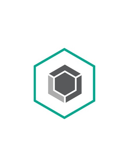 Kaspersky Lab KL4883XASDH licenza per software aggiornamento Aggiuntivo Multilingua 2 anno i