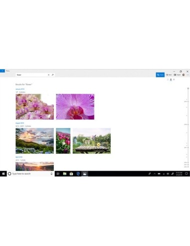 Microsoft Windows 10 Home 1 licenza e