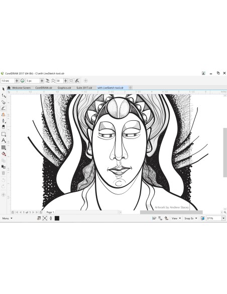 Corel CorelDraw Graphics Suite 2017 251-2500U UPG Aggiornamento Multilingua