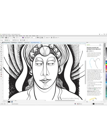 Corel CorelDraw Graphics Suite 2017 251-2500U UPG Aggiornamento Multilingua