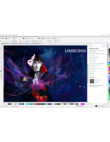 Corel CorelDraw Graphics Suite 2017 1U EDU Istruzione (EDU) 1 licenza e Multilingua