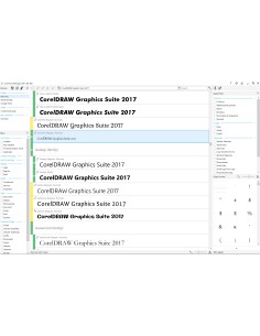 Corel CorelDraw Graphics Suite 2017 51-250U EDU Istruzione (EDU) Multilingua 2