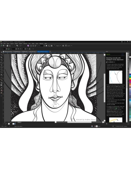 Corel CorelDraw Graphics Suite 2017 51-250U EDU Istruzione (EDU) Multilingua