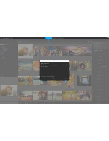 Corel PaintShop Pro X9 Education Edition License (51-250) Istruzione (EDU) Tedesca, DUT, Inglese, ESP, Francese, ITA