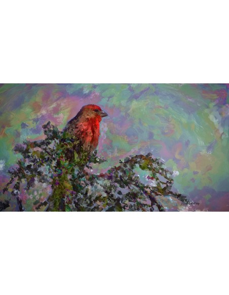 Corel Painter 2016 EDU 1 - 4u Istruzione (EDU) Tedesca, Francese