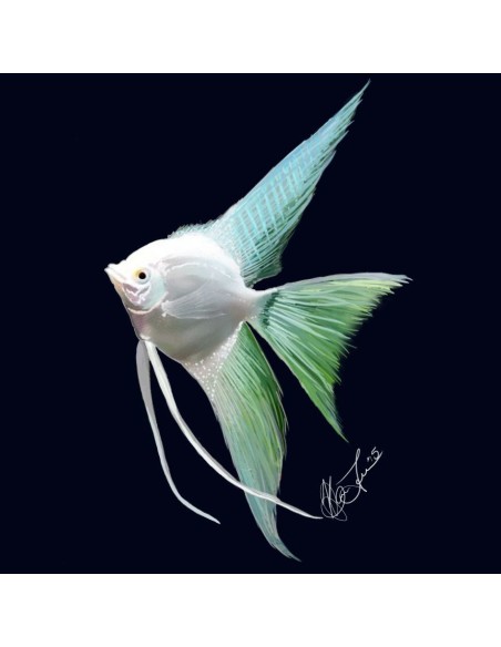 Corel Painter 2016 EDU 1 - 4u Istruzione (EDU) Tedesca, Francese