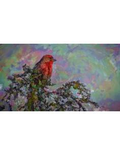 Corel Painter 2016 EDU 5 - 50u Istruzione (EDU) Tedesca, Inglese, Francese 2