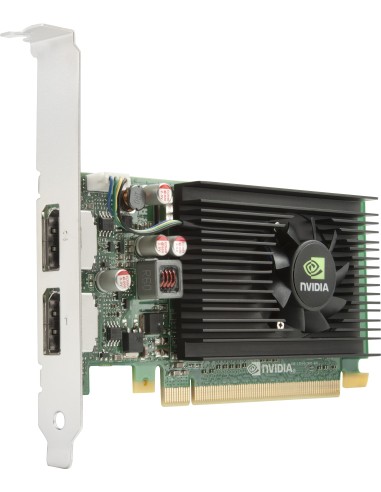 HP Scheda grafica NVIDIA NVS 310 1 GB