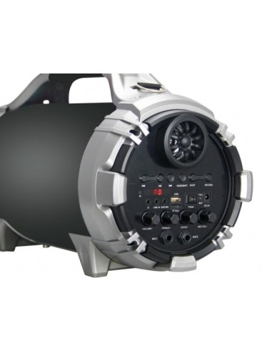 Conceptronic MASSIMO01B altoparlante portatile Nero, Argento 20 W