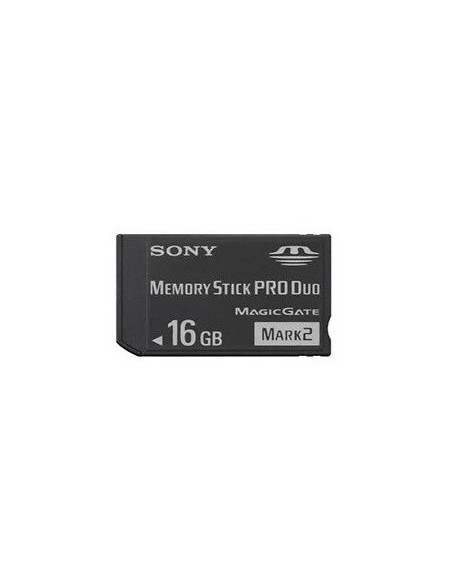 Sony 16GB MS PRO-HG Duo Classe 2