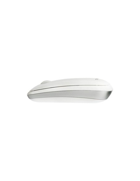 Dynabook W30 mouse RF Wireless Ottico 1600 DPI