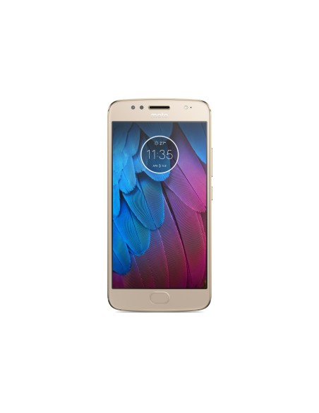 Motorola Moto G5S 13,2 cm (5.2") Android 7.1 4G Micro-USB 3 GB 32 GB 3000 mAh Oro