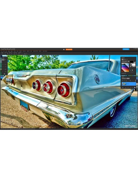 Corel PaintShop Pro 2018 1 licenza e