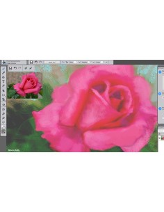Corel PaintShop Pro 2018 Ultimate 1 licenza e 2
