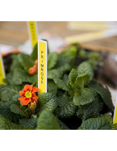 Brother PT-D210 stampante per etichette (CD) Trasferimento termico 180 x 180 DPI QWERTY