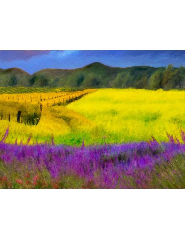 Corel Painter 2015, ML