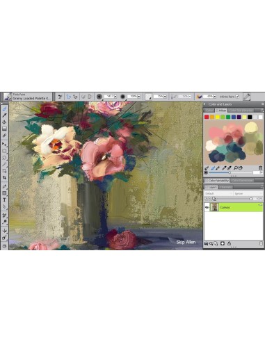Corel Painter 2018 Full 1 licenza e