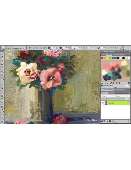 Corel Painter 2018 1 licenza e