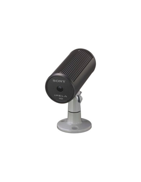 Sony SNC-CH110 telecamera di sorveglianza 1280 x 960 Pixel
