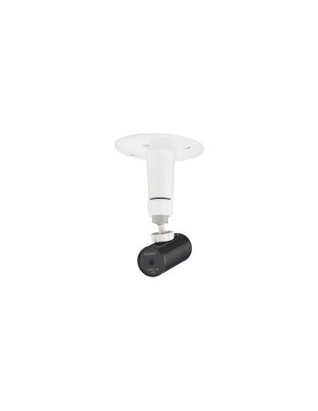 Sony SNC-CH110 Interno 1296 x 985 Pixel