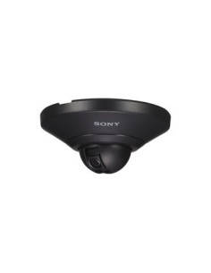 Sony SNCDH110 Cupola 1280 x 960 Pixel Soffitto