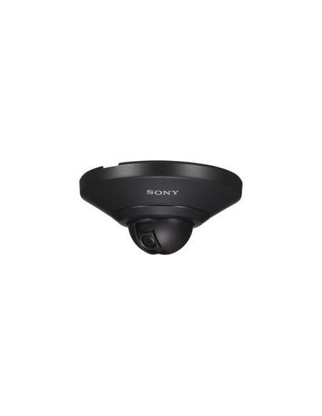 Sony SNCDH110 Cupola 1280 x 960 Pixel Soffitto