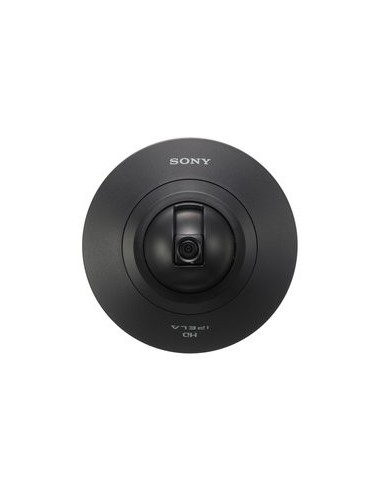 Sony SNCDH110 Cupola 1280 x 960 Pixel Soffitto