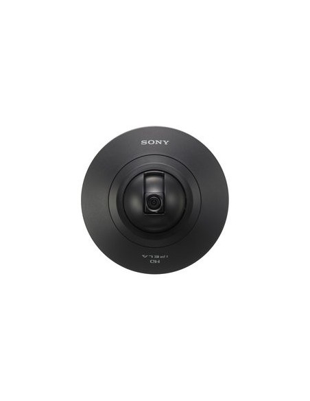 Sony SNCDH110 Cupola 1280 x 960 Pixel Soffitto