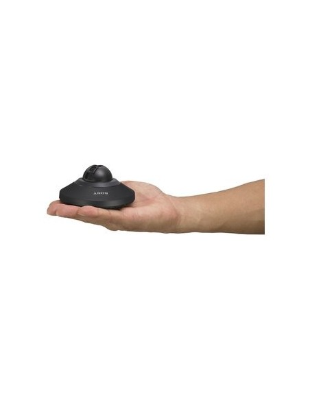 Sony SNCDH110 Cupola 1280 x 960 Pixel Soffitto
