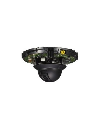 Sony SNCDH110 Cupola 1280 x 960 Pixel Soffitto