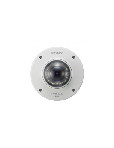 Sony SNC-EM602RC telecamera di sorveglianza Telecamera di sicurezza IP Esterno Cupola 1280 x 1024 Pixel Soffitto