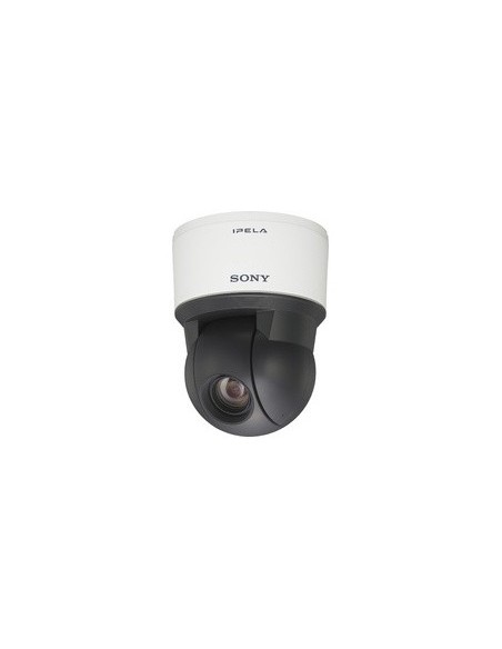Sony SNC-EP521 telecamera di sorveglianza Interno e esterno Cupola 720 x 576 Pixel Soffitto