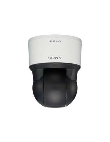 Sony SNC-EP550 telecamera di sorveglianza Cupola 1280 x 720 Pixel Soffitto