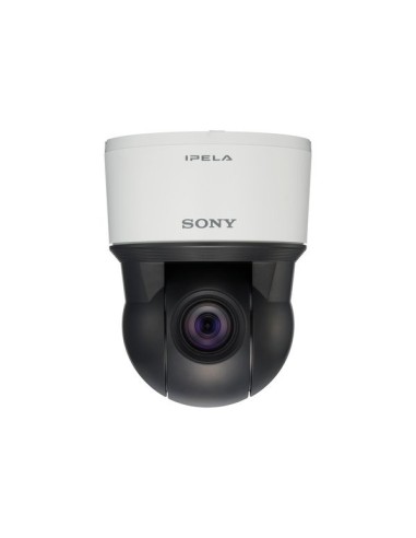 Sony SNC-EP550 telecamera di sorveglianza Cupola 1280 x 720 Pixel Soffitto