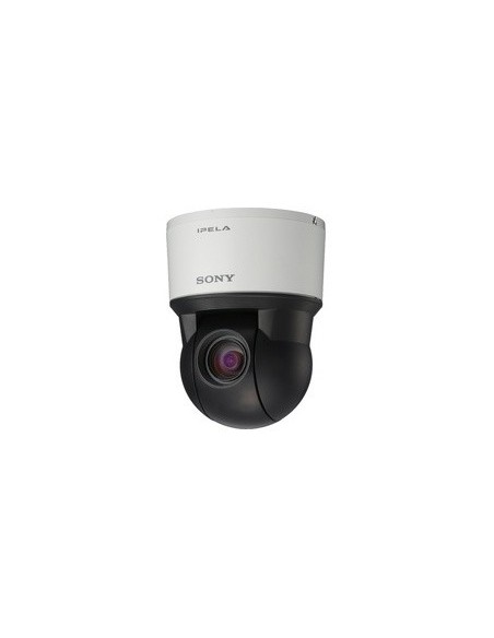 Sony SNC-ER521 telecamera di sorveglianza Interno e esterno Cupola 720 x 576 Pixel Soffitto