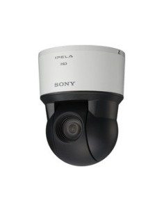 Sony SNC-ER580 telecamera di sorveglianza Cupola 1920 x 1080 Pixel Soffitto