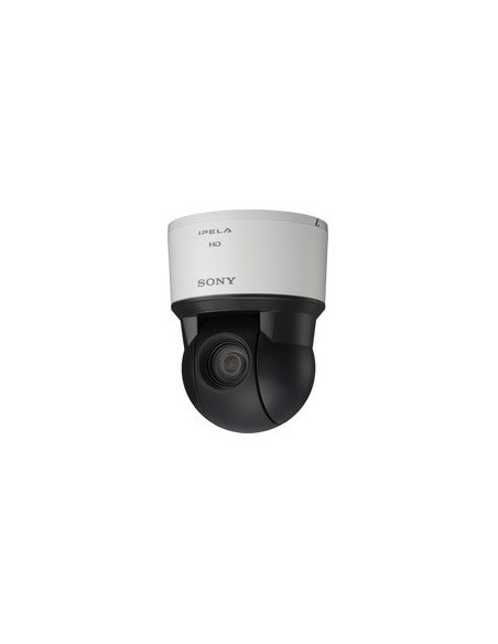 Sony SNC-ER580 telecamera di sorveglianza Cupola 1920 x 1080 Pixel Soffitto