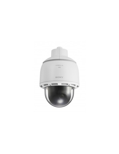 Sony SNCWR602 Telecamera di sicurezza IP Interno e esterno Nascosta 1280 x 720 Pixel Soffitto muro