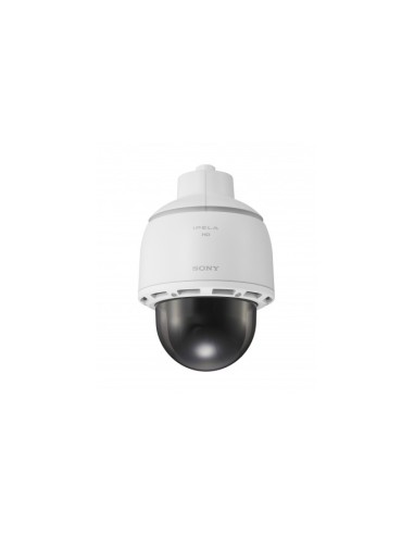 Sony SNCWR602 Telecamera di sicurezza IP Interno e esterno Nascosta 1280 x 720 Pixel Soffitto muro