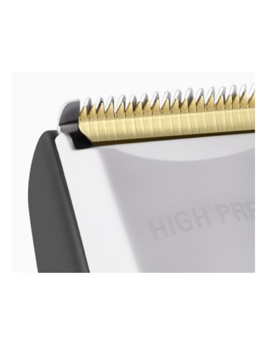 Rowenta Expertise Bagnato e secco Nero, Argento