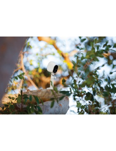 Netgear VMA1000 Monte