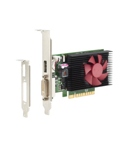 HP Scheda NVIDIA GT 730 DP da 2 GB