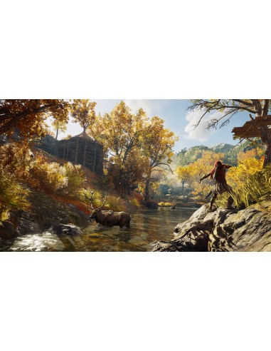 Sony PS4 Assassin's Creed Ody