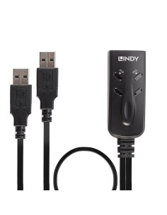 Lindy 32165 switch per keyboard-video-mouse (kvm) Nero 2