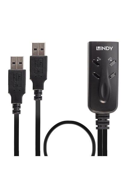Lindy 32165 switch per keyboard-video-mouse (kvm) Nero
