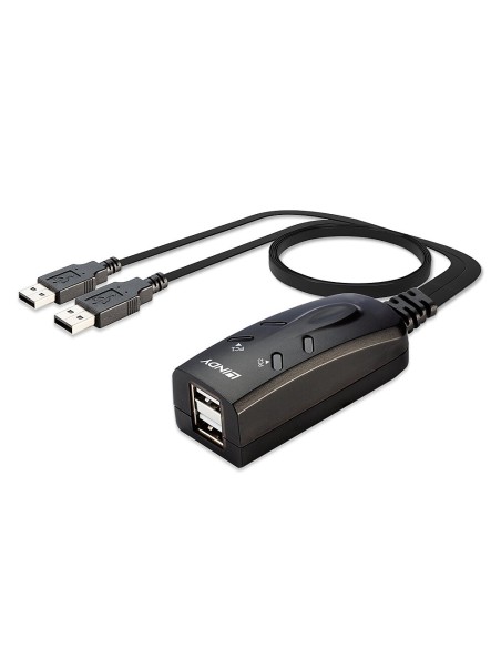 Lindy 32165 switch per keyboard-video-mouse (kvm) Nero